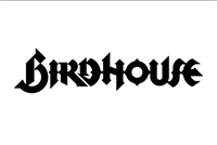Skateboarding Workshop, sponsored by Birdhouse